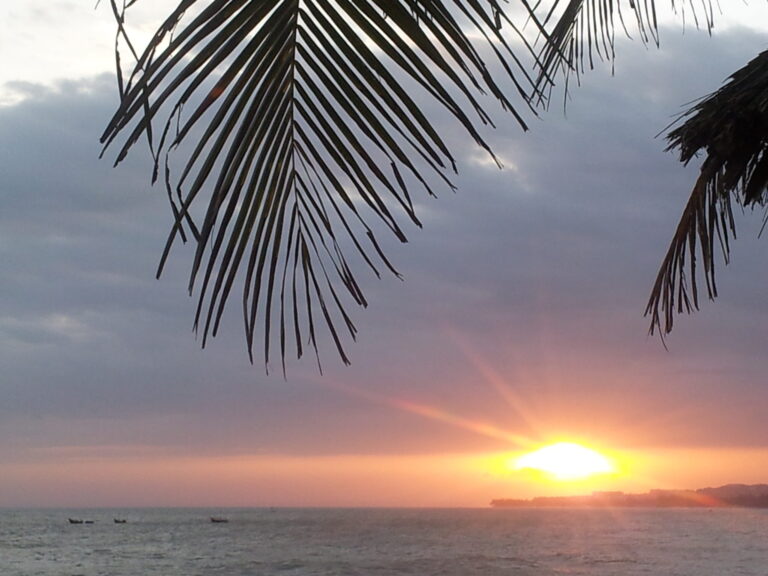 מה עושים ביומיום?