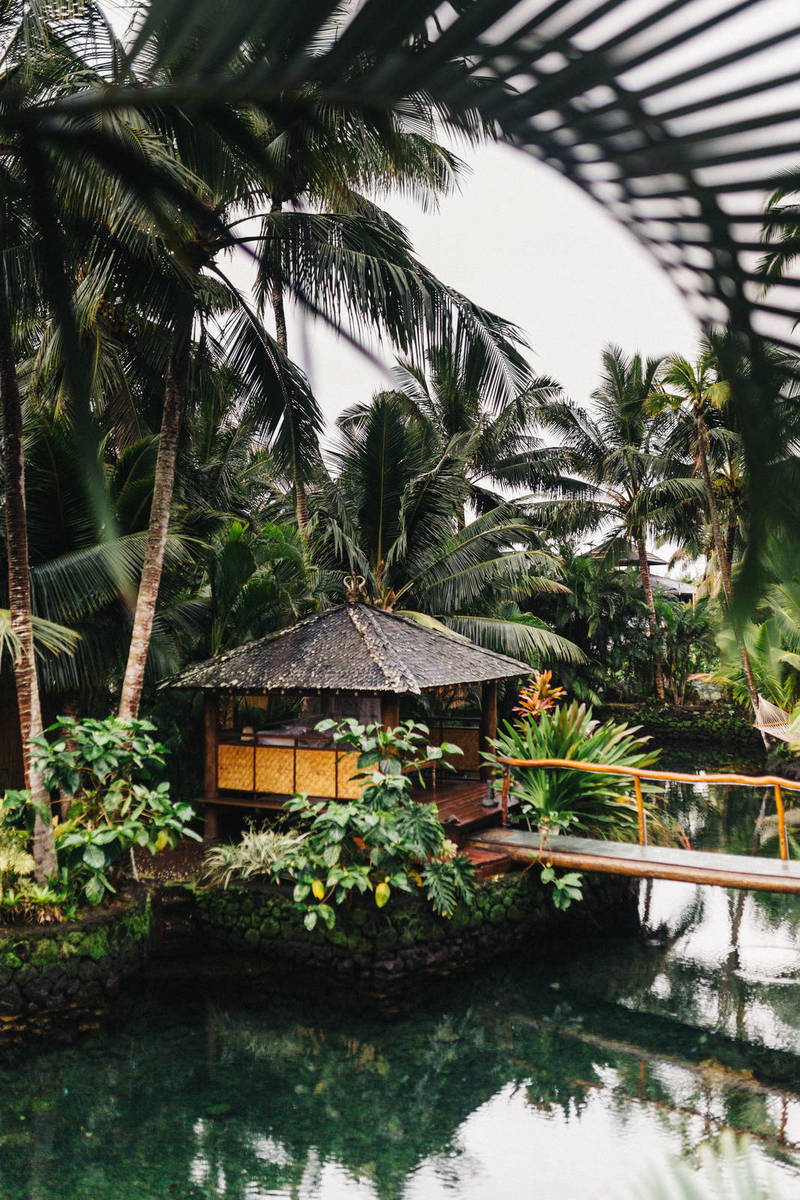 Clean And Colorful is in Vogue