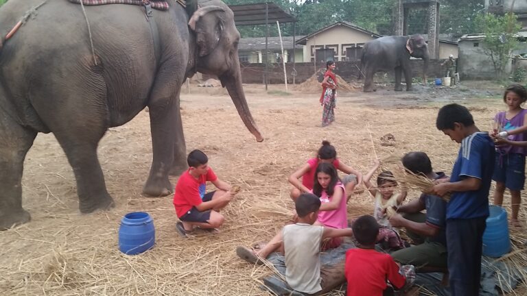 התנדבות בנפאל עם ילדים- בית יתומים בצ’יטואן