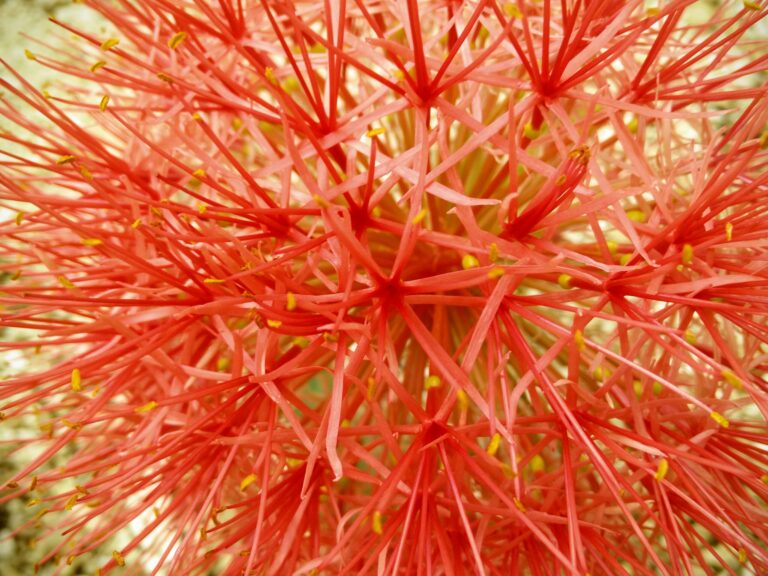 הכנסה נוספת (או הכנסה ממש) – ארבע דרכים להרוויח כסף בכיף