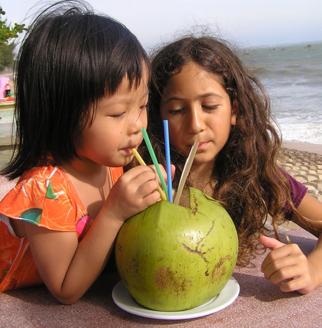 וייטנאם עם ילדים- כל מה שחשוב לדעת כדי לתכנן את הטיול