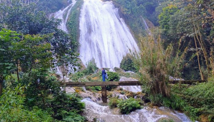 Vietnam With Kids Vietnam With Kids
