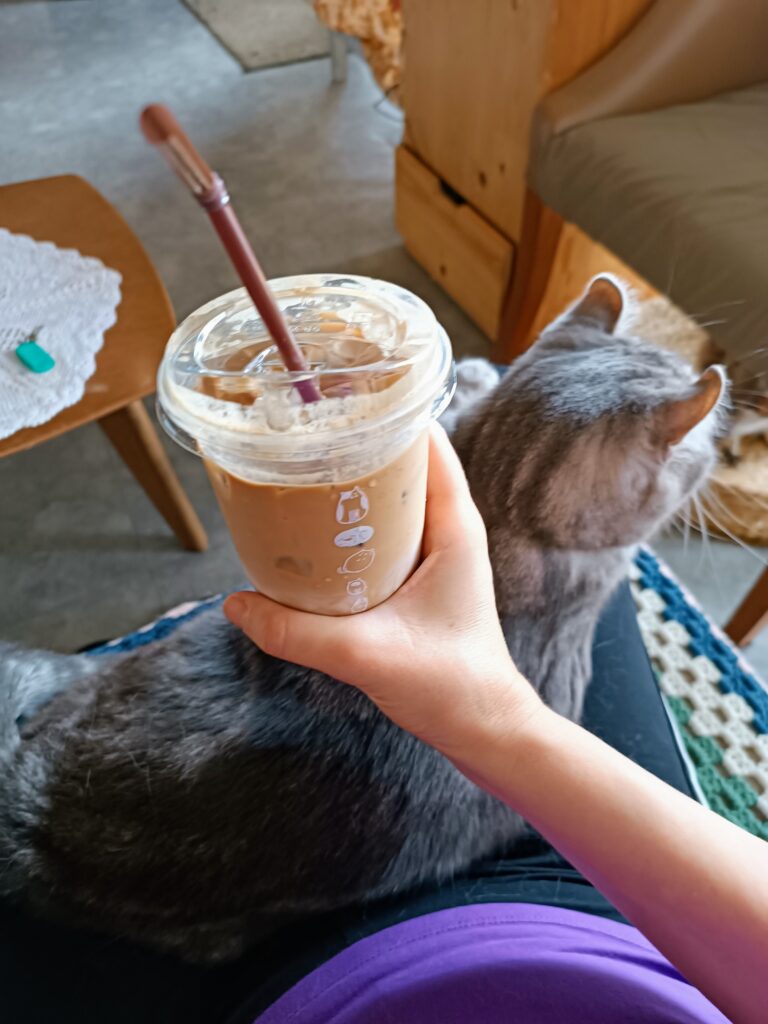 thailand where to stay