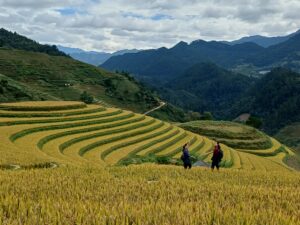 צפון וייטנאם עם ילדים