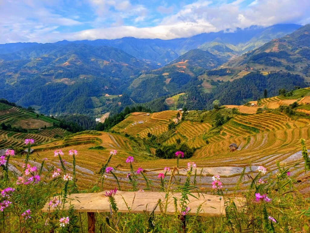 צפון וייטנאם עם ילדים