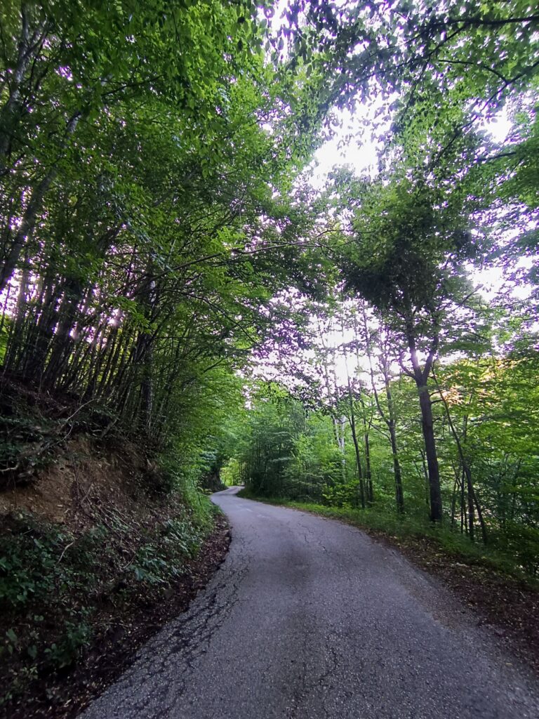 summer in Europe with kids