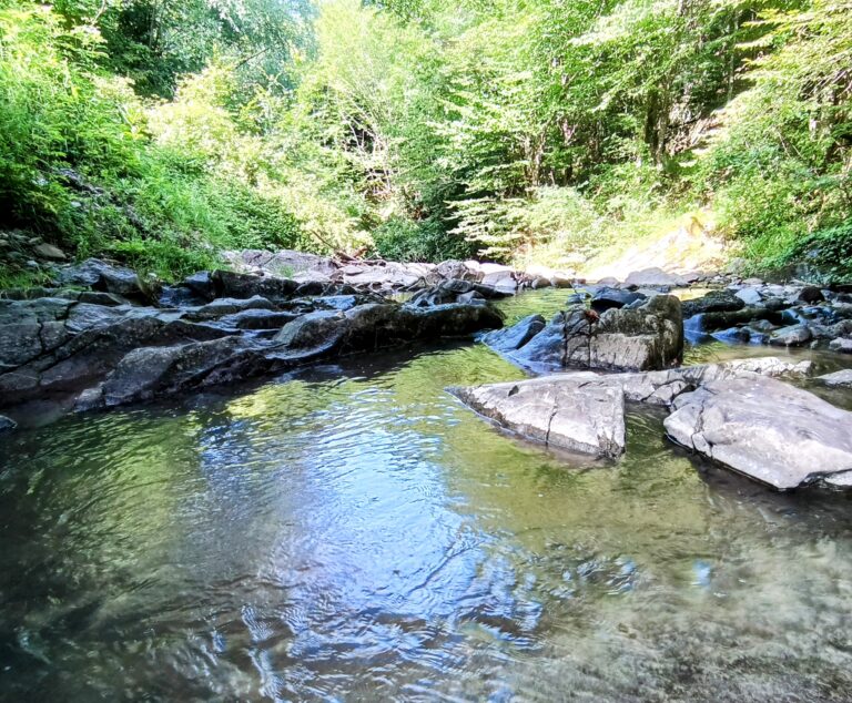 summer in Europe with kids