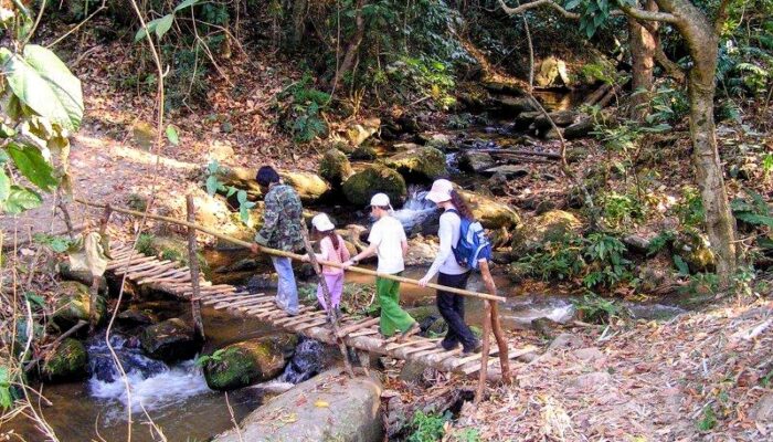Chiang Mai Thailand With Kids