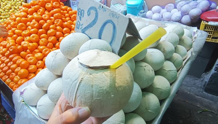 Coconut Bangkok Thailand With Kids