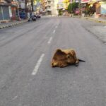 Pokhara Nepal With Kids