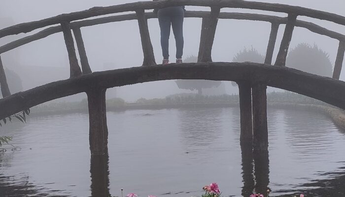 Gali Bridge Chiang Mai Thailand With Kids 3