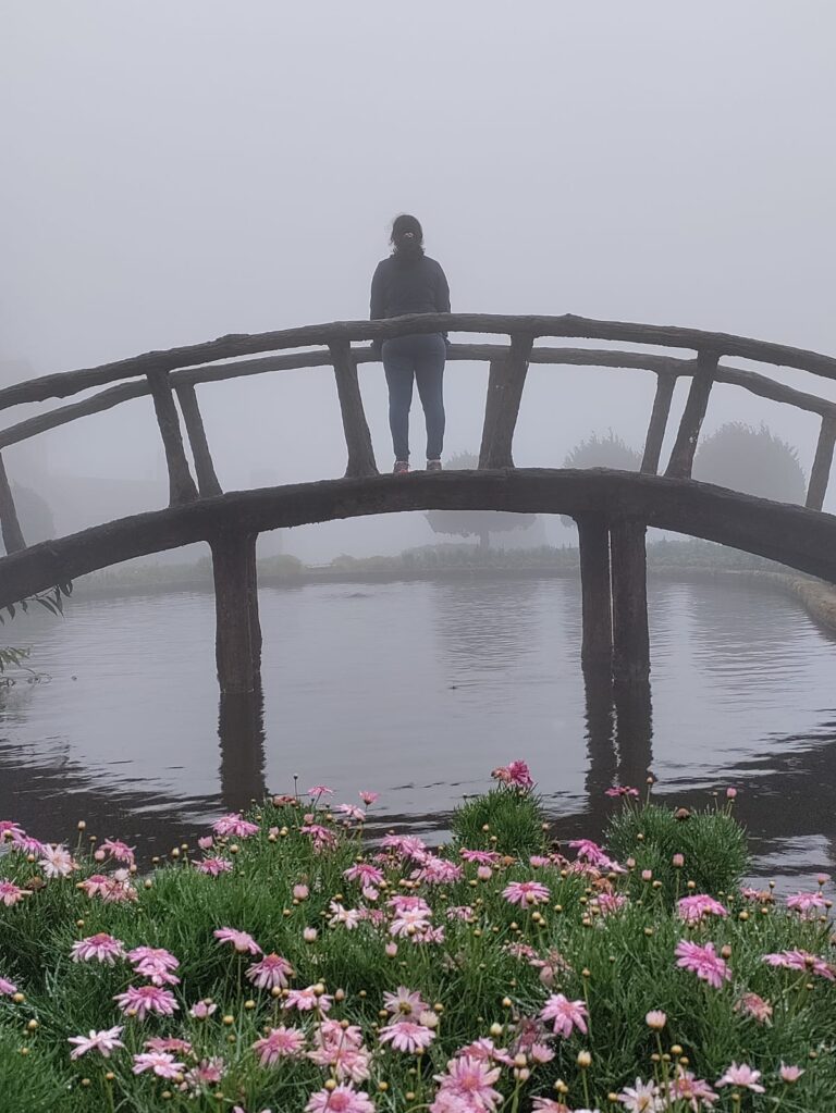 טיול עם ילדים בעולם לא יהיה שלם בלי לחצות כמה גשרים בדרך..