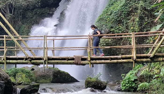 Gali Bridge Chiang Mai Thailand With Kids