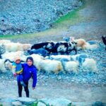 Ladakh India With Kids