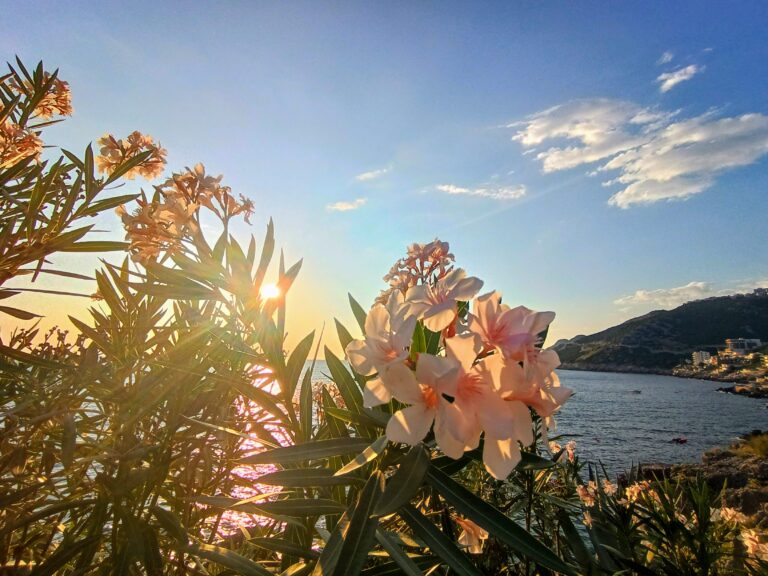 summer in Europe with kids