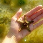 Philippines With Kids