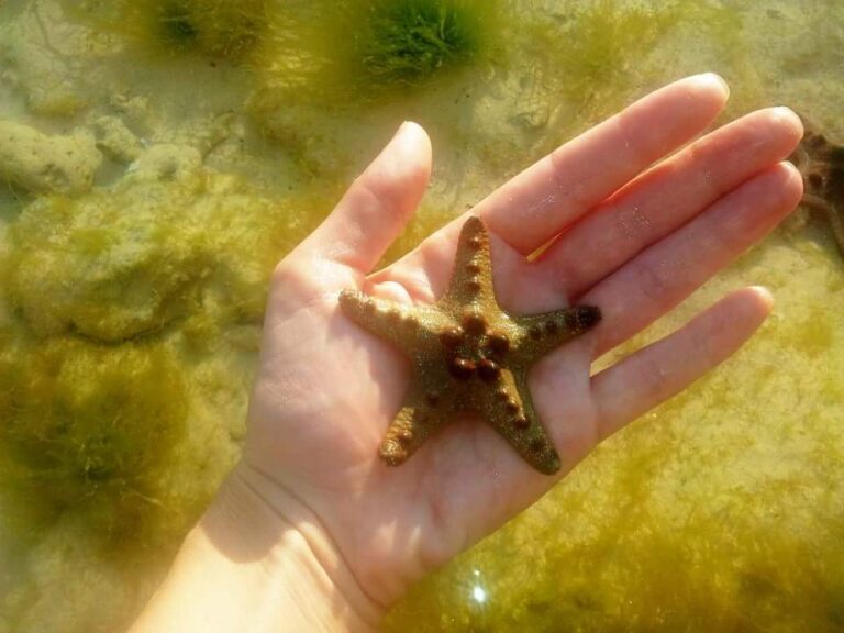 החיים ב'ליסינג'.. Philippines With Kids