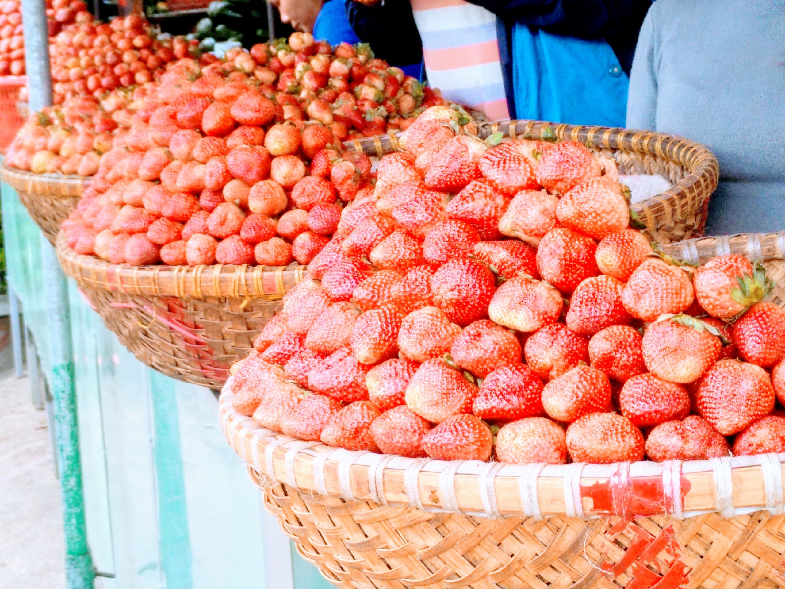 Strawberries Da Lat Vietnam With Kids