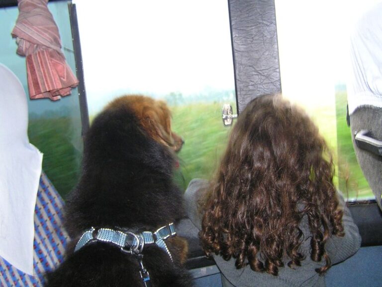 שבועיים ראשונים Travel with kids