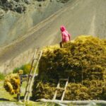 Ladakh India With Kids