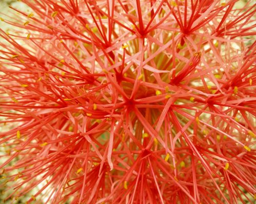 IMG_20160602_123911-scaled