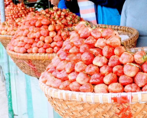 IMG_20170505_125549-scaled