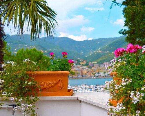 beautiful-5284440_1280