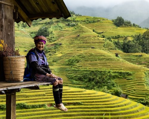 hai-tran-GFeIKOJNPJY-unsplash-scaled